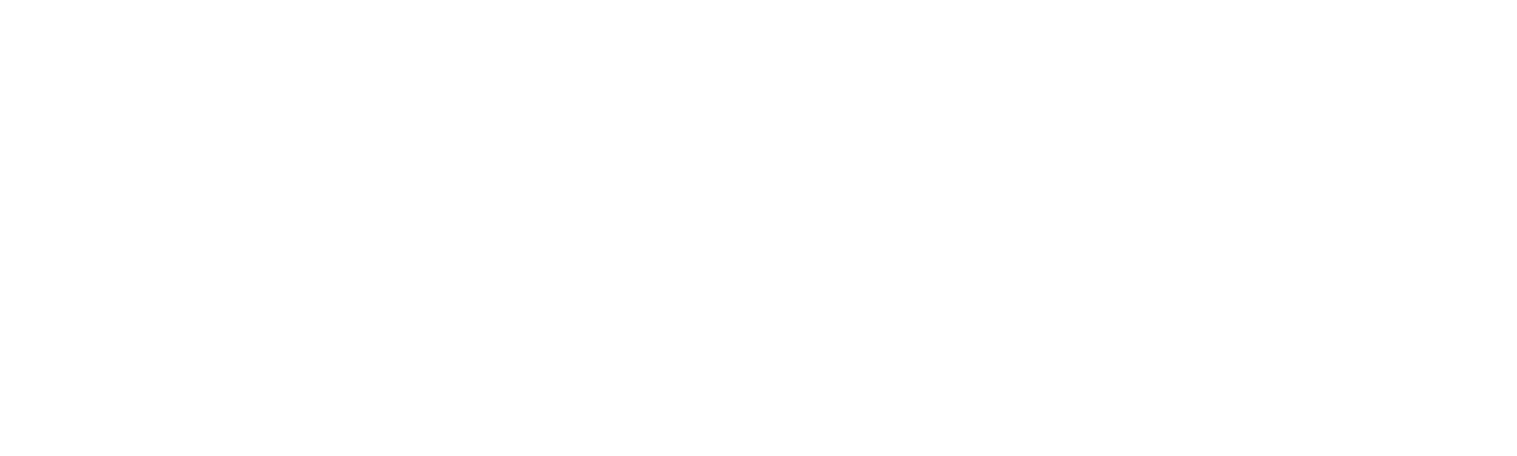DPMeritTV_WHT_logo_alpha